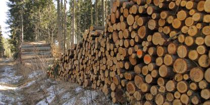 Dutzende Sägewerke finden, dass sie in den zurückliegenden Jahrzehnten durch die eigentumsübergreifende Holzvermarktung der Landesforstbetriebe in fünf Bundesländern überhöhte Preise gezahlt haben.
