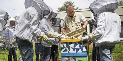 Eine Imker-AG ist eine Bereicherung für jede Schule. Damit die Freude an den Bienen nicht getrübt wird, sollten rechtliche Fragen vorab genau geklärt werden.