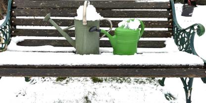 Im Winter können Sie Ihre Gießkannen mit Schnee füllen.
