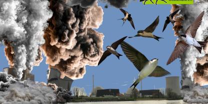 Schwalben und ein AKW Kühlturm