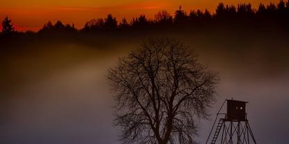 Zwei Hochsitze wurden durch Brandstiftung zerstört.