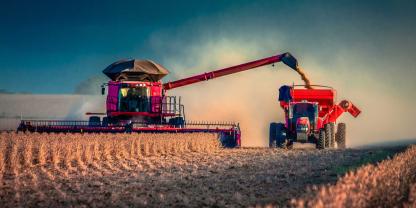 In Zukunft mehr Soja aus dem Regenwald? Das Soja-Moratorium hat wichtige Unterzeichner verloren.