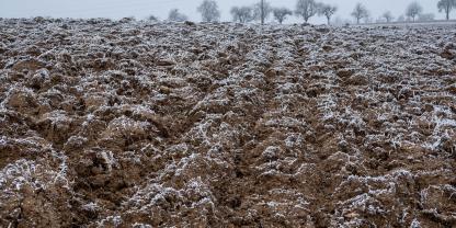 Schwarz brachliegenden Acker im Winter gibt es heute kaum noch: Nur noch 5 Prozent der Flächen bleiben unbedeckt, vor zehn Jahren waren es noch 19 Prozent.