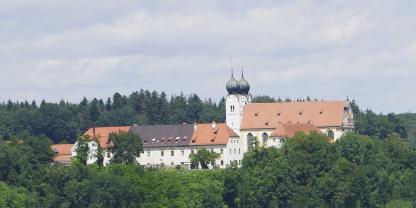 Ein Teil des Jungviehs weidet im Sommer mit Blick auf die Stiftskirche St. Margareta Baumburg in Altenmarkt.  Foto: Uli Stöhr