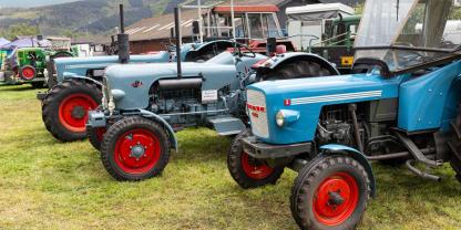SYMBOLBILD: Alte Landtechnik begeistert viele Menschen. Eine Reportage zeigt einen Bulldog-Retter aus Unterfranken. Er ist der "Notarzt" für alte Eicher-Traktoren.