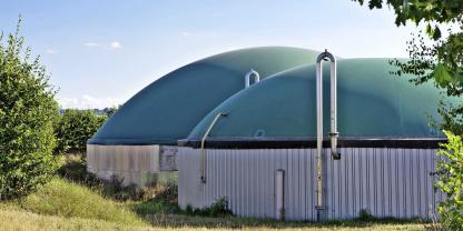<b><i>Für einen reibungslosen Biogasprozess</i></b> ist ein perfektes Zusammenspiel der Mikroorganismengruppen nötig.Foto: stock.adobe.com/Lena Wurm