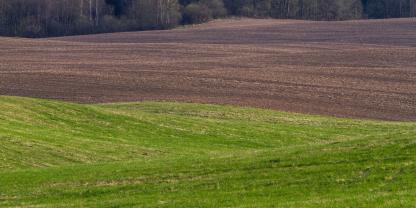 Acker-Wiesen-AdobeStock_357983891