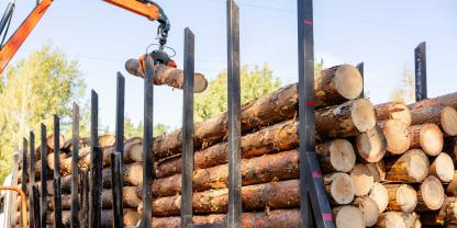 Ein Holzhändler aus dem Schwarzwald zeigt in einem Video, wie ein Transport von 40 Tonnen Buchenholz am Feldberg abläuft. Mit dabei ist ein Volvo FH 540. (SYMBOLBILD)