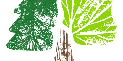 Logo DEUTSCHER WALDPREIS