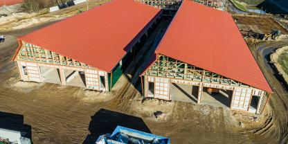 Schweinehalter, die einen neuen Stall bauen wollen, müssen weiter mit der Planungsunsicherheit leben.