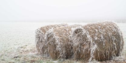 Die angezündeten Strohballen waren als Wildtierfütterung gedacht.