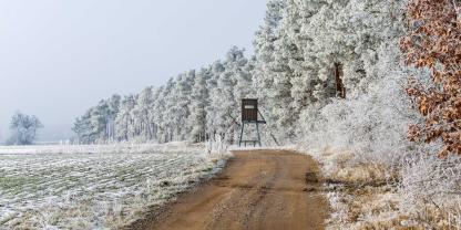 Der Schuss auf die Frau erfolgte von einem Hochsitz aus.