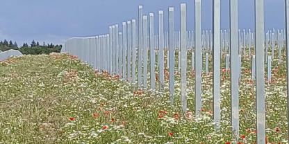 Agri-PV-Vertikal (3)