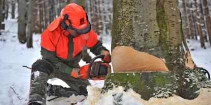 Ein Mann beim Fällen eines Baumes im Wald. Es liegt Schnee. 
