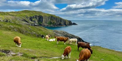Im Mai geht es nach Irland - Themen sind Grünland, Milchwirtschaft und Tierzucht auf der Grünen Insel.