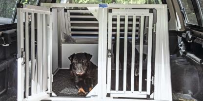 Ihre Mithilfe ist bei einer Studie rund ums Hundewesen gefragt!