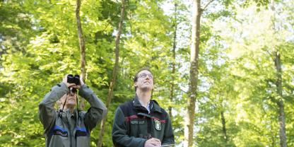 Datenerhebung für den Waldzustandsbericht: Rund 17.000 Bäume werden dazu jährlich in Bayern begutachtet.