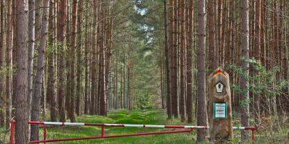 Waldweg-gesperrt-AdobeStock_433909924