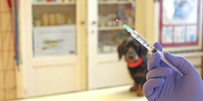 Impfungen tragen maßgeblich dazu bei Epidemien zu verhindern.