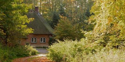 Wald-Forsthaus-AdobeStock_228681870