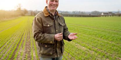 Vorfreue ist die schönste Freude: Bauernregeln sagen eine gute Ernte voraus. (Symbolbild mit KI erzeugt)