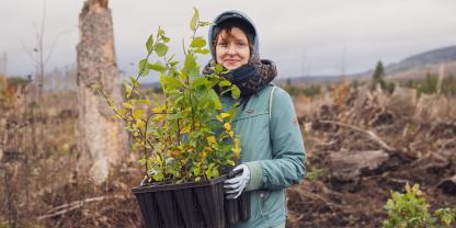 Das Bergwaldprojekt organisiert seit über 35 Jahren Freiwilligeneinsätze im Wald, Moor und in Offenlandschaften.