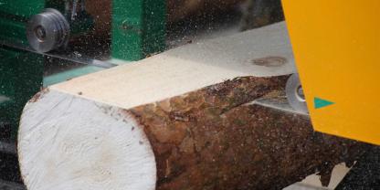 SYMBOLBILD: Wie wird aus einem Baumstamm ein fertiges Brett? Das und vieles mehr zeigt ein Betrieb aus Mecklenburg-Vorpommern. Im Einsatz haben sie ein Bandsägewerk.