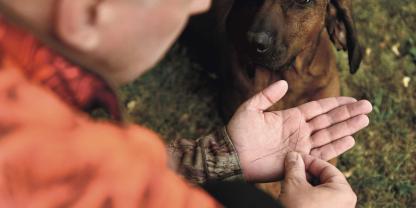 Gute Hundearbeit ist Dienst an unserem Wild, kostet jedoch auch Geld. Entsprechend gerechtfertigt ist eine Aufwandsentschädigung. Aber Achtung: Die kann zur Steuerfalle für den Hundeführer werden.