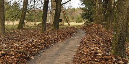 Ein guter Pirschweg steigert den Jagderfolg maßgeblich.