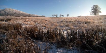 Brache im Winter, Ausgangspunkt komplizierter Öko-Regelungen