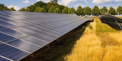 Mit Blick auf neue Photovoltaik-Freiflächenanlagen weist der Deutsche Jagdverband auf rechtliche Folgen für die Jagd hin.