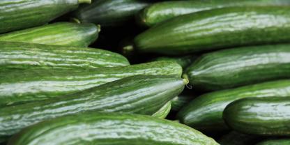 Für Grundnahrungsmittel wie Gurken müssen Russen derzeit tiefer in die Tasche greifen.