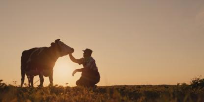 Kuh und Landwirt