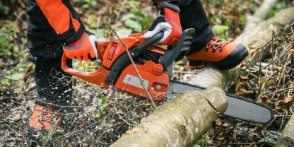 Husqvarna Benzin-Kettensäge beim Schneiden eines Baumstamms (Symbolbild)