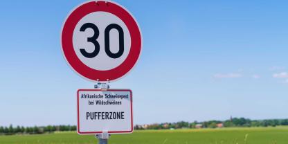 Die Afrikanische Schweinpest scheint auch im Hochsauerlandkreis angekommen zu sein (Symboldbild).