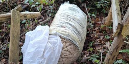 Schafsfelle und Schlachtabfälle in einem Plastiksack