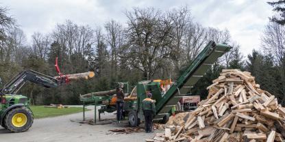 Brennholz und Holzheizungen erwähnt die Bundesregierung im Heizungsgesetz nicht in ihrer Bioquote.