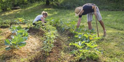 links:Angedeutete Kreisbeete entlang von Höhenlinien bewirken eine geschickte Umleitung von Regenwasser.
