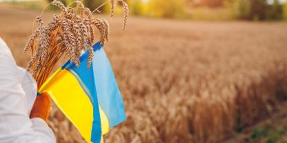 Die Ukraine möchte gern in die EU. Doch die Herausforderungen für beide Seiten sind groß.