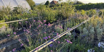 In der Gärtnerei florafutura wachsen Pflanzen heran, die ein zunehmend wärmeres und trockeneres Klima vertragen.