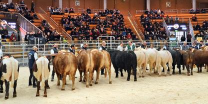 Körsieger in Ilshofen