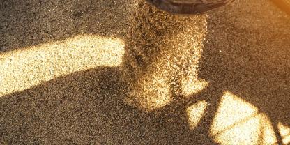 Weizen-Schiff-beladen-AdobeStock_221656144