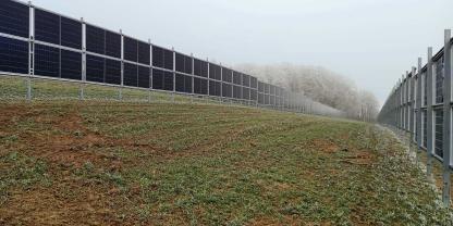 Agri-PV-Vertikal (1)