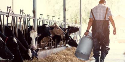 Milchbauer-AdobeStock_194375661