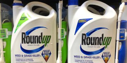 Pflanzenschutz für mehr Sicherheit. Das ist eine Idee des amerikanischen Präsidenten.