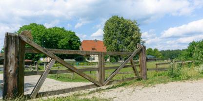 Der Tierschutzhof Dickel wollte die Spende der Jäger nicht annehmen (Symbolbild).