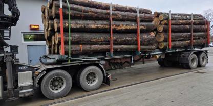 Der Lastwagen mit 18.600 Kilo zu viel Holz