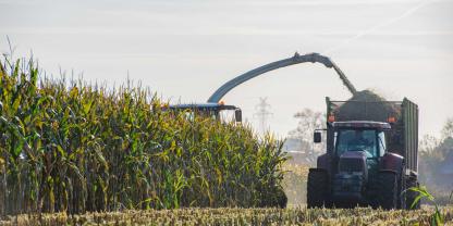 Maisernte-Häcksler-AdobeStock_339853829