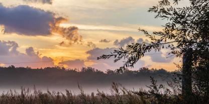 Symbolbild: Jörg Schäfer widmete sein Leben dem Erhalt von Landwirtschaft und Natur - er suchte Lösungen in diesem Spannungsfeld.