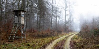 Keine Haftung des Jagdpächters bei Sturz eines Dritten von einem Hochsitz: Das hat das OLG Frankfurt nun entschieden.